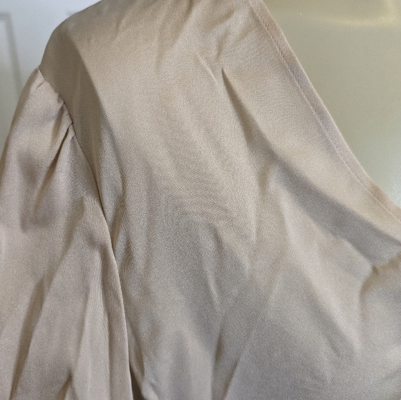 ALC Blouse Silk Stretch V-Neck Choker Beige Long Sleeve Cuff Women's 8 - Picture 7 of 11